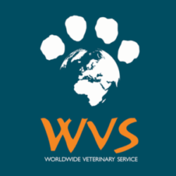 WVS logo