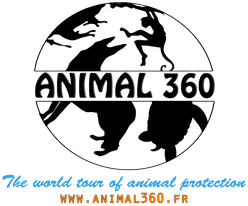 Animal360 logo